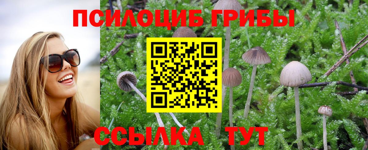 Галлюциногенные грибы прущие грибы Волгоград