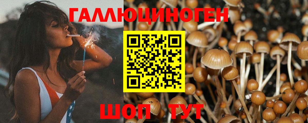 Галлюциногенные грибы Psilocybe  Галлюциногенные грибы Cubensis  Вход с VPN  Волгоград 